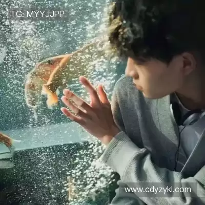 江野蕙
